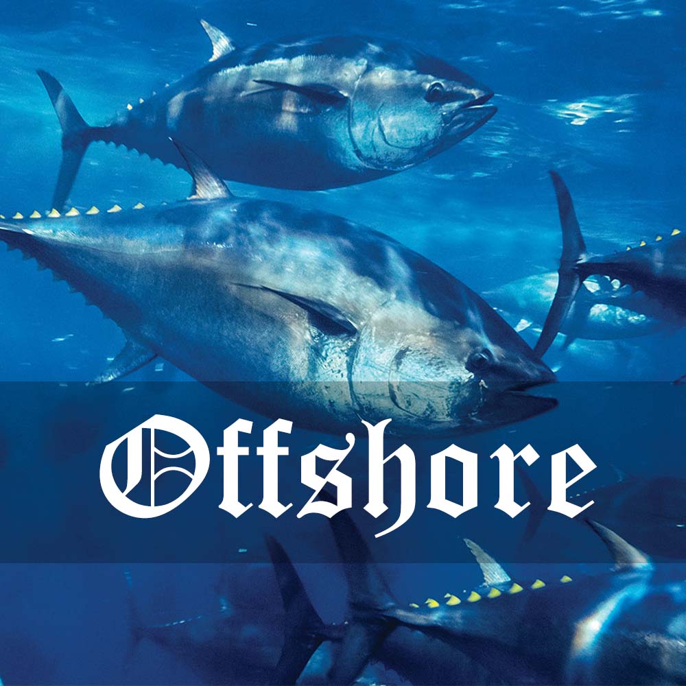 OffShore Collection — The Tackle Bay